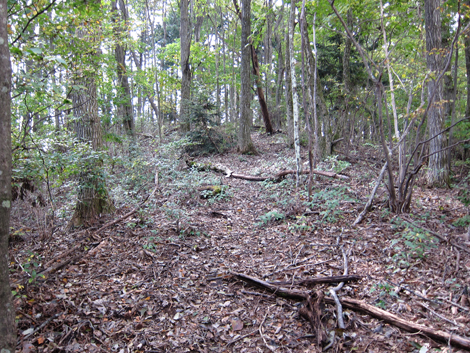 20191031hike (186)